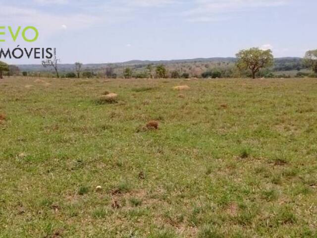 Área para Venda em Goiânia - 4