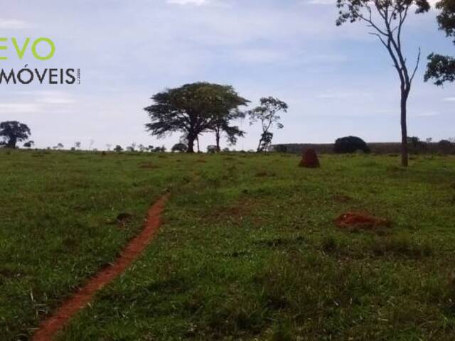 Área para Venda em Goiânia - 1